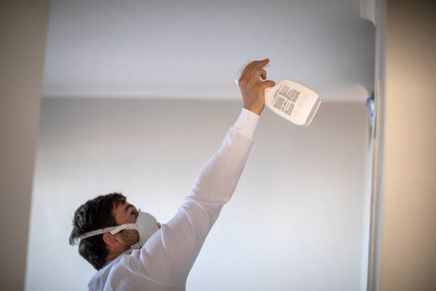 Best Basement Mold Remediation in Salem, IL