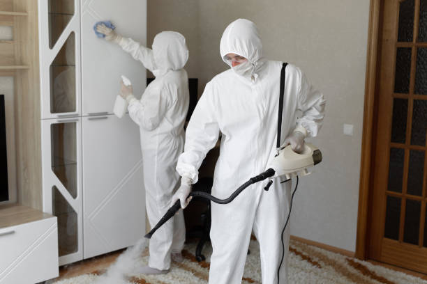 Best Emergency Mold Remediation in Salem, IL